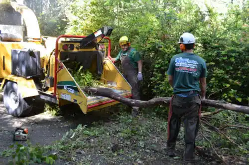 tree services Wonder Lake